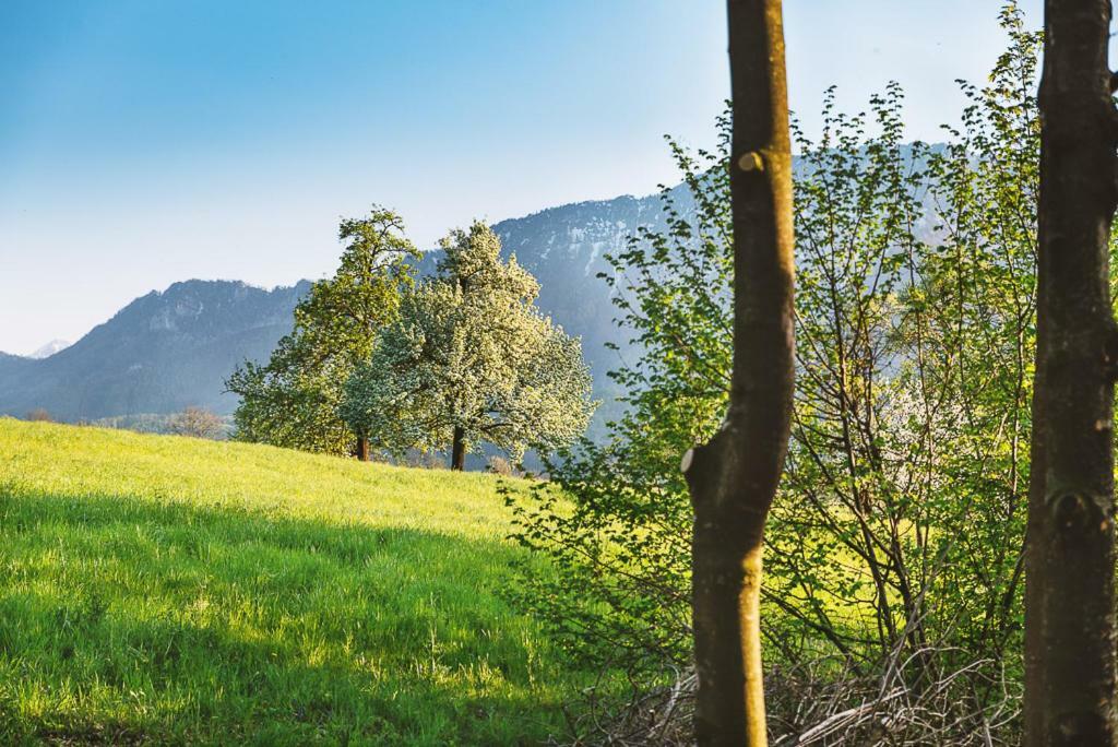 Auszeit Beim Oswald Villa Micheldorf in Oberösterreich Eksteriør billede